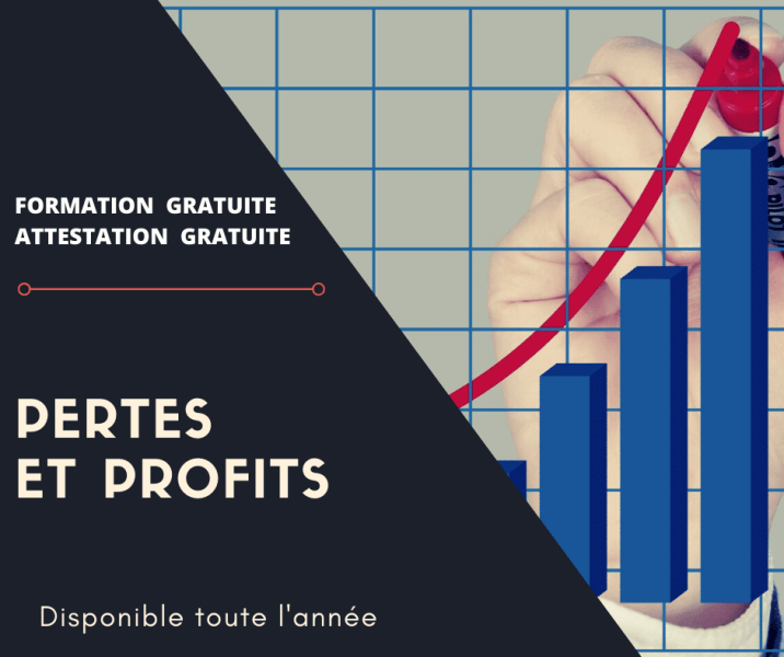 PERTES ET PROFITS